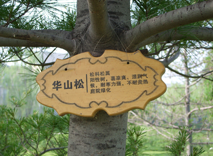 這種導(dǎo)視材料不會變老，只會更美好！